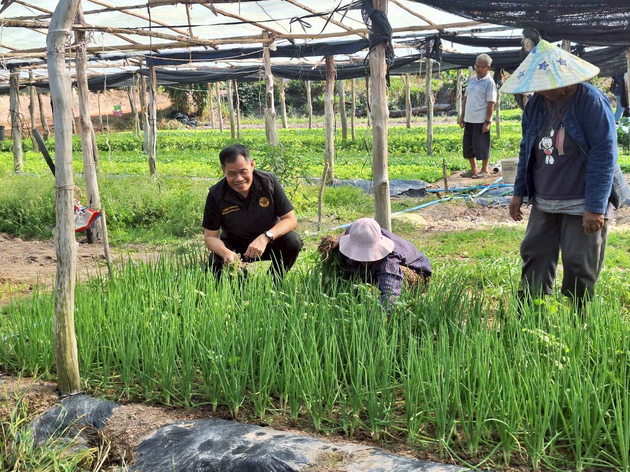 title - ผู้ตรวจราชการ ส.ป.ก. ประชุมตรวจราชการและติดตามความก้าวหน้าผลการดำเนินงานตามแผนการตรวจราชการของผู้ตรวจราชการสำนักงานการปฏิรูปที่ดินเพื่อเกษตรกรรม ประจำปีงบประมาณ พ.ศ. 2569 รอบที่ 1 เขตตรวจราชการที่ 11 จังหวัดนครพนม